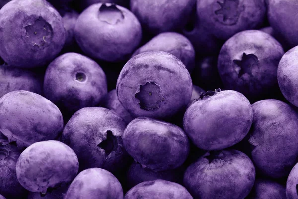 Tasty Fresh Ripe Blueberries Background Closeup — Foto de Stock