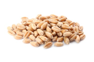 Pile of wheat grains on white background