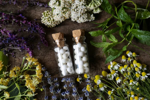 Bottles of homeopathic remedy and different plants on wooden background, flat lay