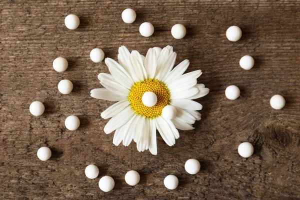 Homeopathic remedy and chamomile flower on wooden background, flat lay