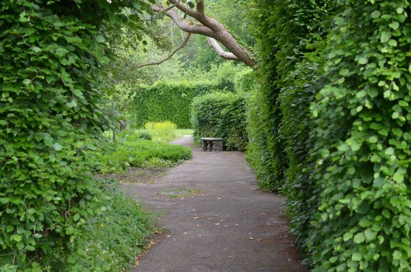 Beautiful view of park with different plants and asphalt path