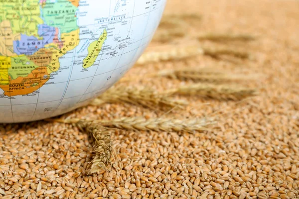 Globe Pšeničných Zrnech Detailní Záběr Koncept Hladové Krize — Stock fotografie