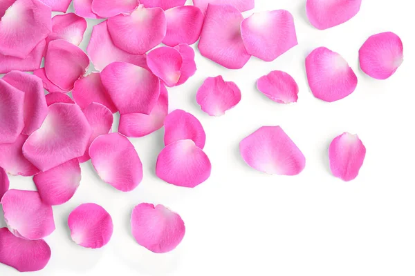 Many Pink Rose Petals White Background Top View — Fotografia de Stock