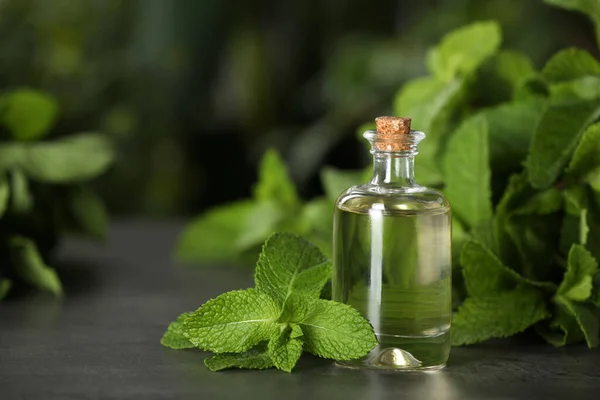 Пляшка Ефірної Олії Яти Зелене Листя Сірому Столі Крупним Планом — стокове фото