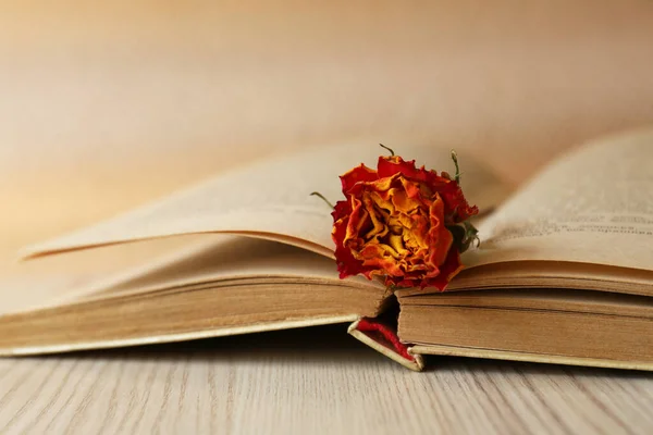 Libro Con Hermosa Flor Seca Mesa Madera Primer Plano — Foto de Stock