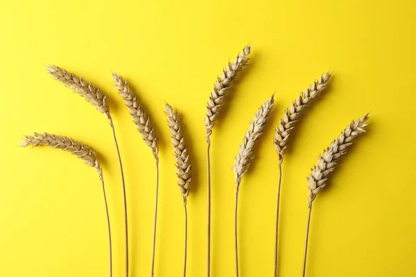 Ears Wheat Yellow Background Flat Lay — Foto Stock