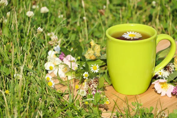 Green Cup Tea Different Wildflowers Herbs Wooden Board Meadow Space — Stock Photo, Image