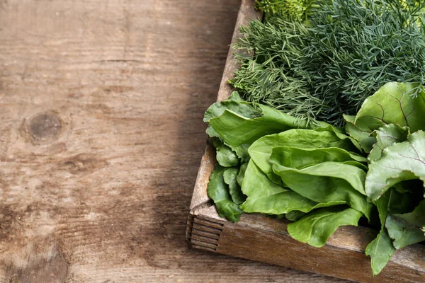 Verse Groene Kruiden Krat Houten Tafel Ruimte Voor Tekst — Stockfoto