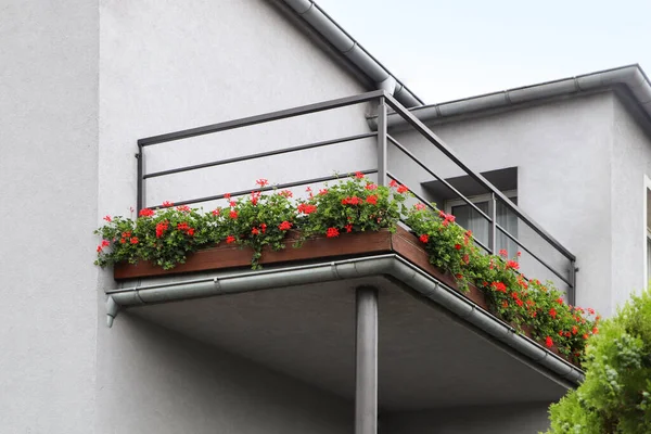Balcony Decorated Beautiful Blooming Potted Flowers Low Angle View Royalty Free Stock Images