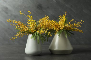 Siyah arkaplanda vazolar içinde güzel mimoza çiçekleri
