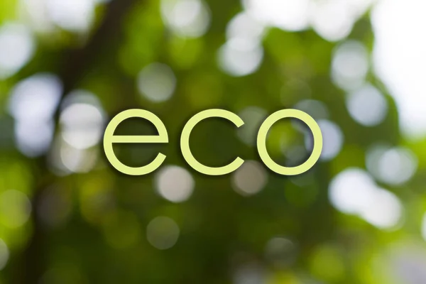 Word Eco Wazig Groene Achtergrond Bokeh Effect — Stockfoto