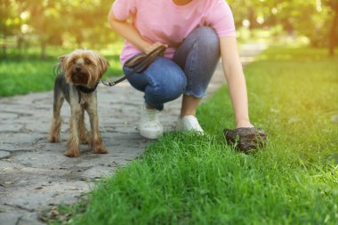Parktaki yeşil çimlerden köpeğinin kakasını toplayan kadın, yakın plan.