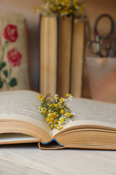 Hermosas Flores Secas Libro Sobre Mesa Madera Primer Plano — Foto de Stock