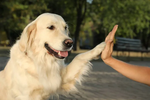 Mulher Seu Cão Golden Retriever Livre Close — Fotografia de Stock