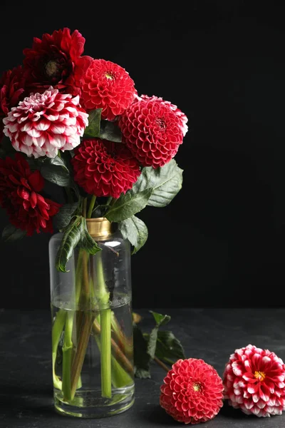 Beautiful Dahlia Flowers Vase Table Black Background — Stock Photo, Image