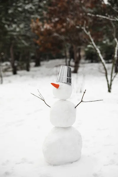 Leuke Sneeuwpop Met Metalen Emmer Wortelneus Buiten Winterdag — Stockfoto