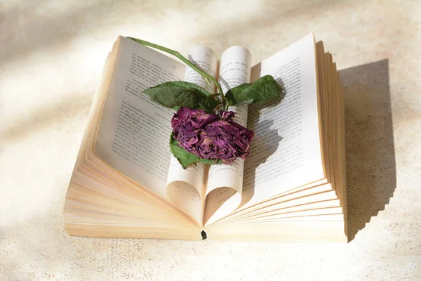 Βιβλίο Όμορφο Αποξηραμένο Λουλούδι Στο Φωτεινό Τραπέζι Πάνω Από Την — Φωτογραφία Αρχείου