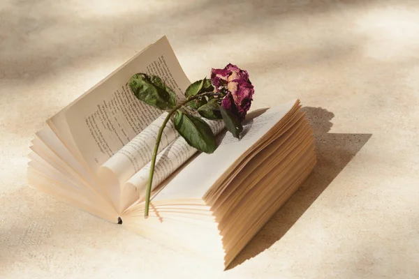 Libro Con Hermosa Flor Seca Mesa Ligera — Foto de Stock
