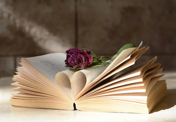 Könyv Gyönyörű Szárított Virággal Könnyű Asztalon — Stock Fotó