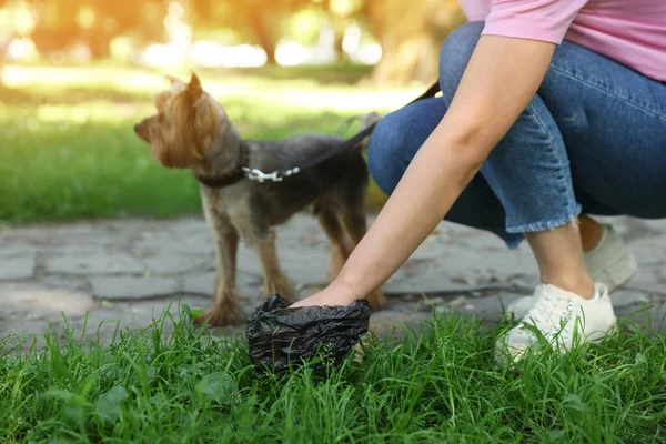 Woman Picking Her Dog Poop Green Grass Park Closeup Space — Stock Photo, Image