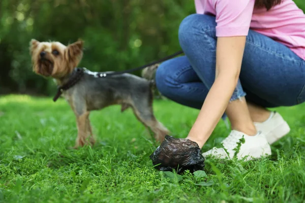 Femme Ramassant Crotte Son Chien Herbe Verte Dans Parc Gros — Photo