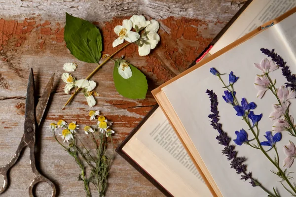 Παλιό Ψαλίδι Όμορφα Αποξηραμένα Λουλούδια Και Βιβλία Ξύλινο Τραπέζι Επίπεδη — Φωτογραφία Αρχείου