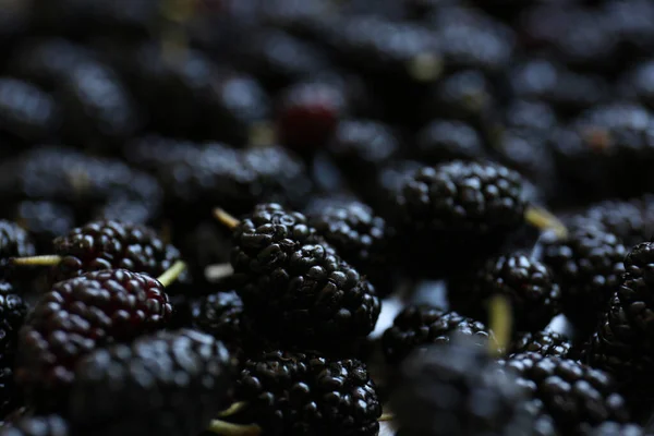 Heap Van Heerlijke Rijpe Zwarte Moerbeien Close Uitzicht — Stockfoto