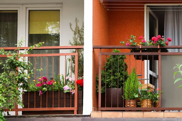 Balcón Decorado Con Hermosas Flores Plantas Verdes — Foto de Stock