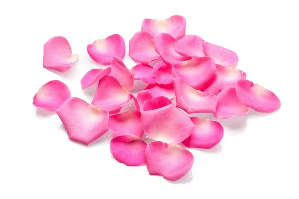 Many Pink Rose Petals White Background — Foto de Stock