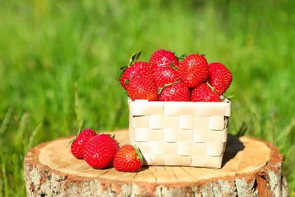 Basket and ripe strawberries on tree stump outdoors, closeup