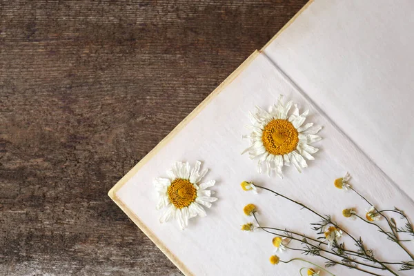Ανοιχτό Βιβλίο Όμορφα Αποξηραμένα Λουλούδια Ξύλινο Τραπέζι Πάνω Όψη Χώρος — Φωτογραφία Αρχείου
