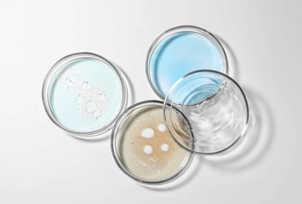 Petri Πιάτα Υγρά Χρώμα Λευκό Φόντο Επίπεδη Lay — Φωτογραφία Αρχείου