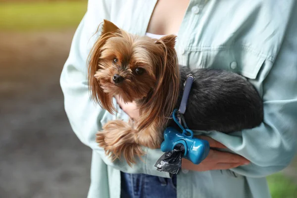 Woman Holding Her Cute Dog Waste Bags Park Closeup — Stock Photo, Image
