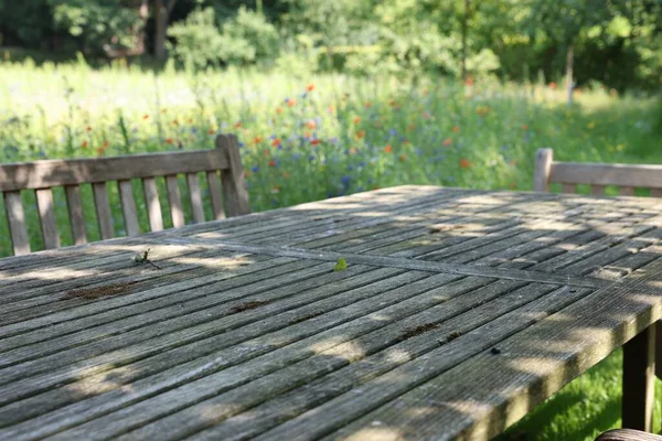 Empty Wooden Table Bench Sunny Day Garden — Foto Stock