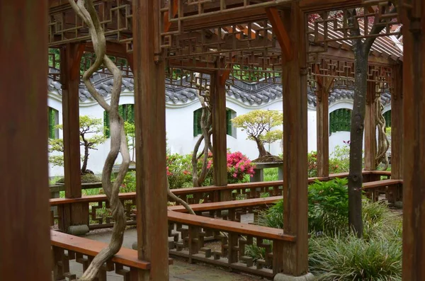 Pérgola Madeira Bonita Plantas Diferentes Parque — Fotografia de Stock