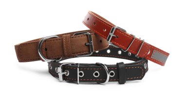 Different leather dog collars on white background