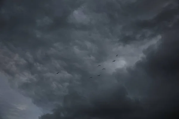 Malowniczy Widok Ptaków Niebie Ciężkimi Deszczowymi Chmurami — Zdjęcie stockowe