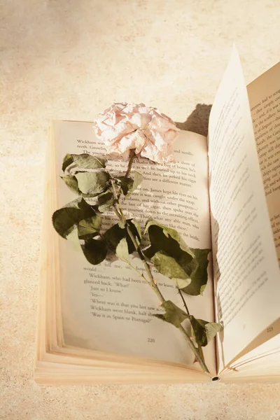 Libro Con Hermosa Flor Seca Mesa Luz Vista Superior — Foto de Stock
