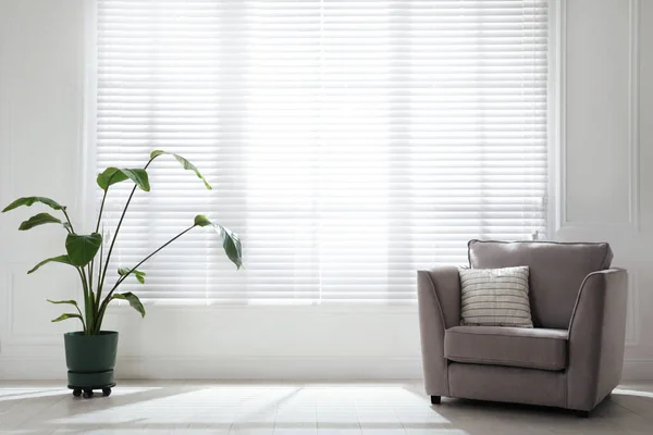 宽敞的房间里有窗帘 靠大窗户的柔软扶手椅和室内盆栽 室内设计 — 图库照片