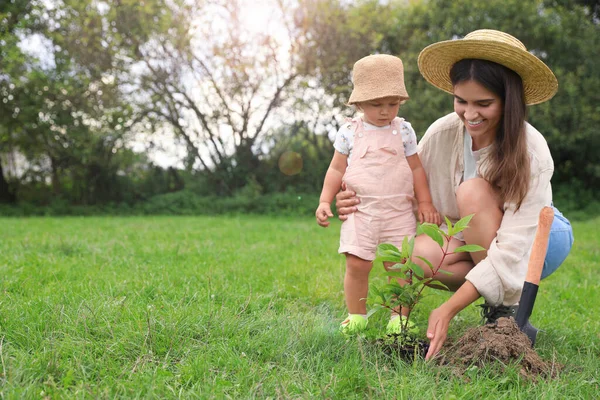 Ibu Dan Bayinya Menanam Pohon Bersama Sama Taman Ruang Untuk — Stok Foto