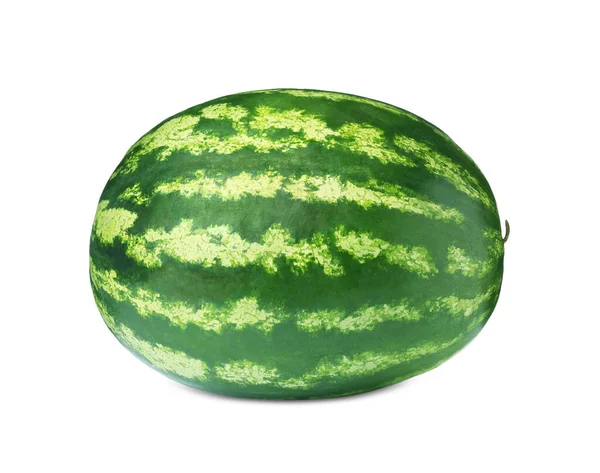 One Whole Ripe Watermelon Isolated White — 스톡 사진