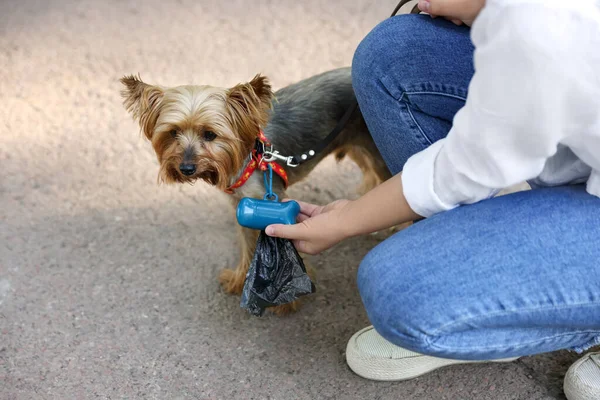 Woman with cute dog taking waste bag from holder outdoors, closeup