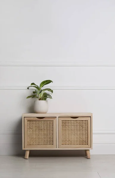 Plante Verte Sur Commode Bois Près Mur Blanc Intérieur Design — Photo