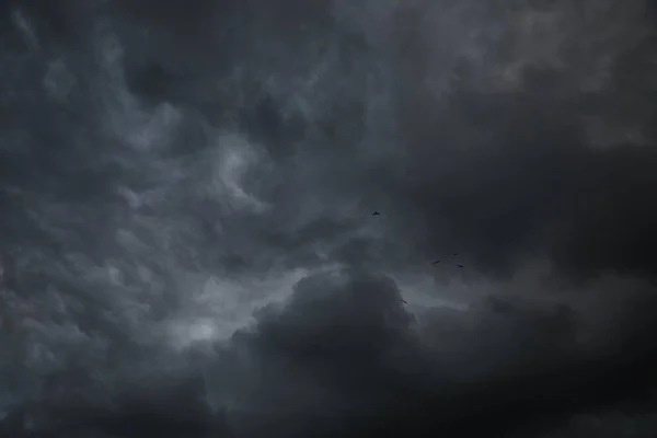 Живописный Вид Птиц Небе Тяжелыми Дождливыми Облаками — стоковое фото