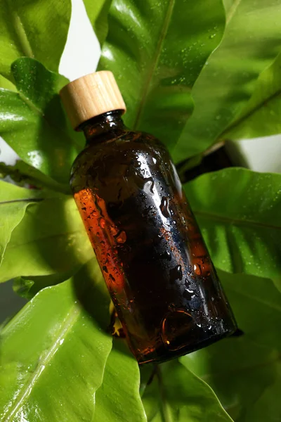 Natte Glazen Fles Cosmetisch Product Groene Bladeren Bovenaanzicht — Stockfoto