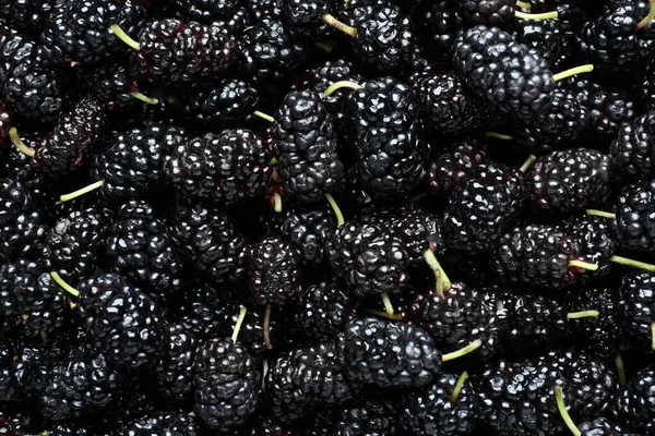 Ripe Black Mulberries Background Top View — Stockfoto