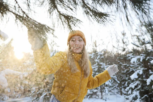 Γυναίκα Τινάζει Χιόνι Από Κλαδιά Των Δέντρων Στο Δάσος Την — Φωτογραφία Αρχείου