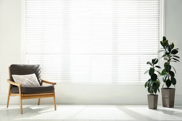 Comfortable Armchair Pillow Plants Big Window Spacious Room Interior Design — Stock Photo, Image
