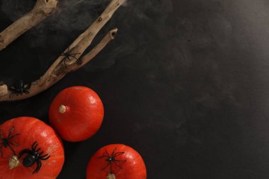 Cadılar Bayramı kompozisyonu, balkabakları, dekoratif örümcekler ve siyah arka planda ahşap dallar, düz yatış. Metin için boşluk