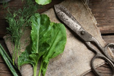 Flat lay composition with different herbs, rusty scissors and burlap fabric on wooden table